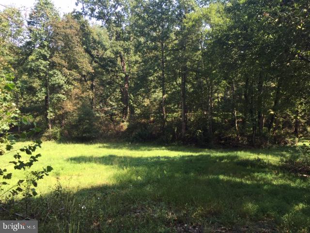 TBD PINE TORCH #78A, MADISON, Virginia 22727, ,Land,For sale,TBD PINE TORCH #78A,VAMA2002108 MLS # VAMA2002108