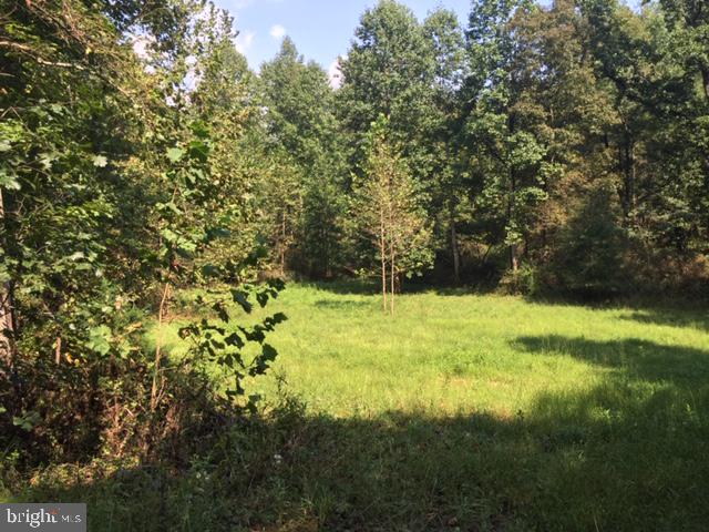 TBD PINE TORCH #78A, MADISON, Virginia 22727, ,Land,For sale,TBD PINE TORCH #78A,VAMA2002108 MLS # VAMA2002108