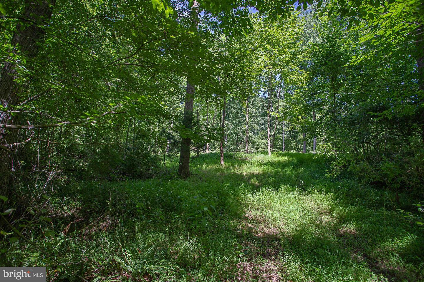 TBD PINE TORCH #78A, MADISON, Virginia 22727, ,Land,For sale,TBD PINE TORCH #78A,VAMA2002108 MLS # VAMA2002108