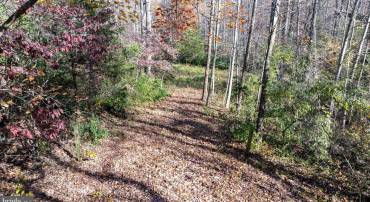 TBD PINE TORCH #78A, MADISON, Virginia 22727, ,Land,For sale,TBD PINE TORCH #78A,VAMA2002108 MLS # VAMA2002108