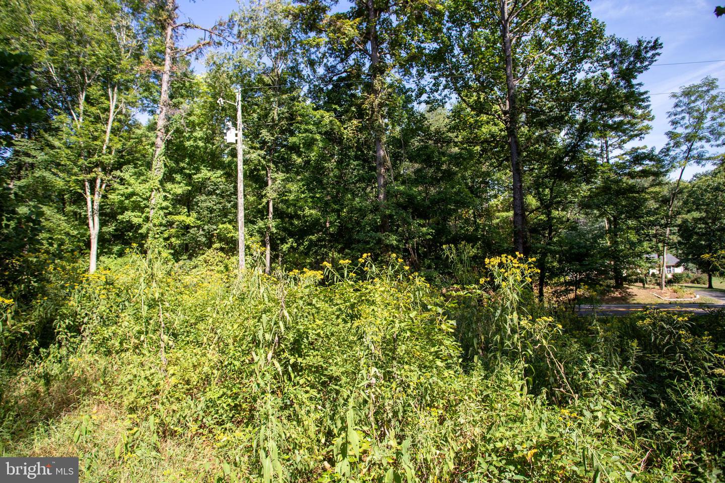 TBD JACKSON LANE, BOSTON, Virginia 22713, ,Land,For sale,TBD JACKSON LANE,VARP2001996 MLS # VARP2001996