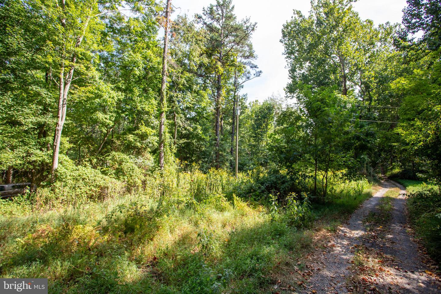 TBD JACKSON LANE, BOSTON, Virginia 22713, ,Land,For sale,TBD JACKSON LANE,VARP2001996 MLS # VARP2001996