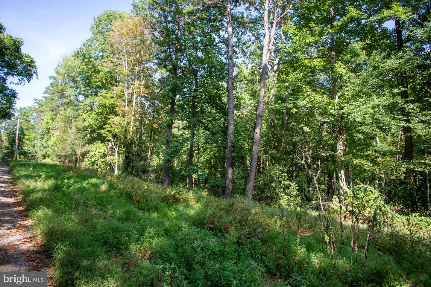 TBD JACKSON LANE, BOSTON, Virginia 22713, ,Land,For sale,TBD JACKSON LANE,VARP2001996 MLS # VARP2001996