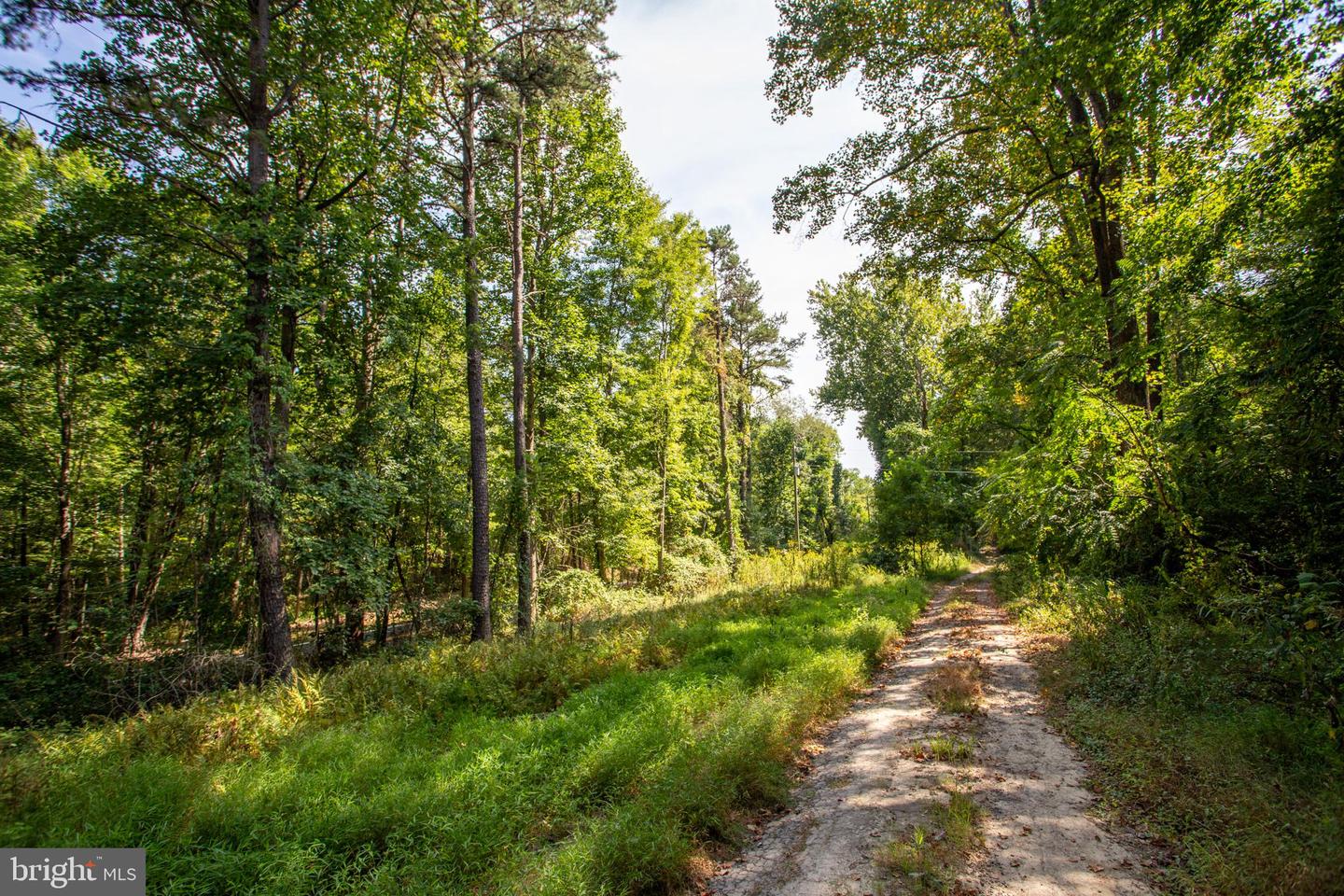 TBD JACKSON LANE, BOSTON, Virginia 22713, ,Land,For sale,TBD JACKSON LANE,VARP2001996 MLS # VARP2001996