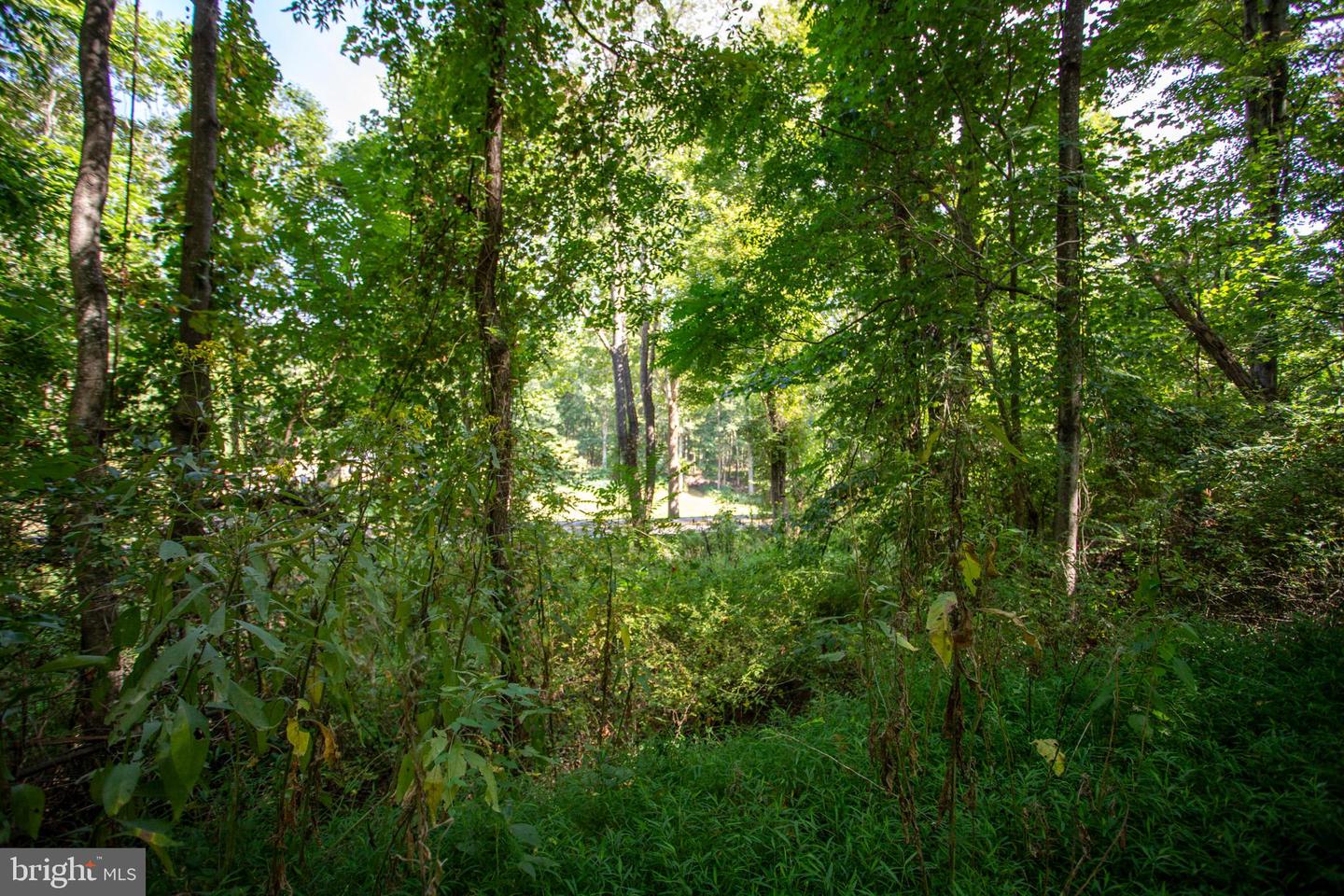 TBD JACKSON LANE, BOSTON, Virginia 22713, ,Land,For sale,TBD JACKSON LANE,VARP2001996 MLS # VARP2001996