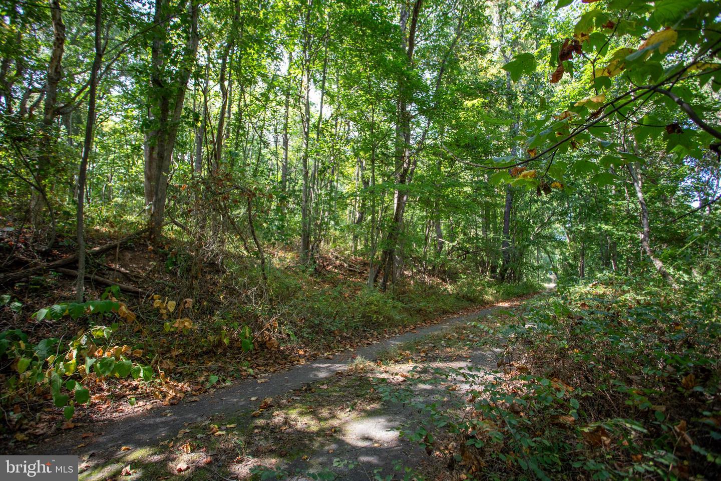 TBD JACKSON LANE, BOSTON, Virginia 22713, ,Land,For sale,TBD JACKSON LANE,VARP2001996 MLS # VARP2001996