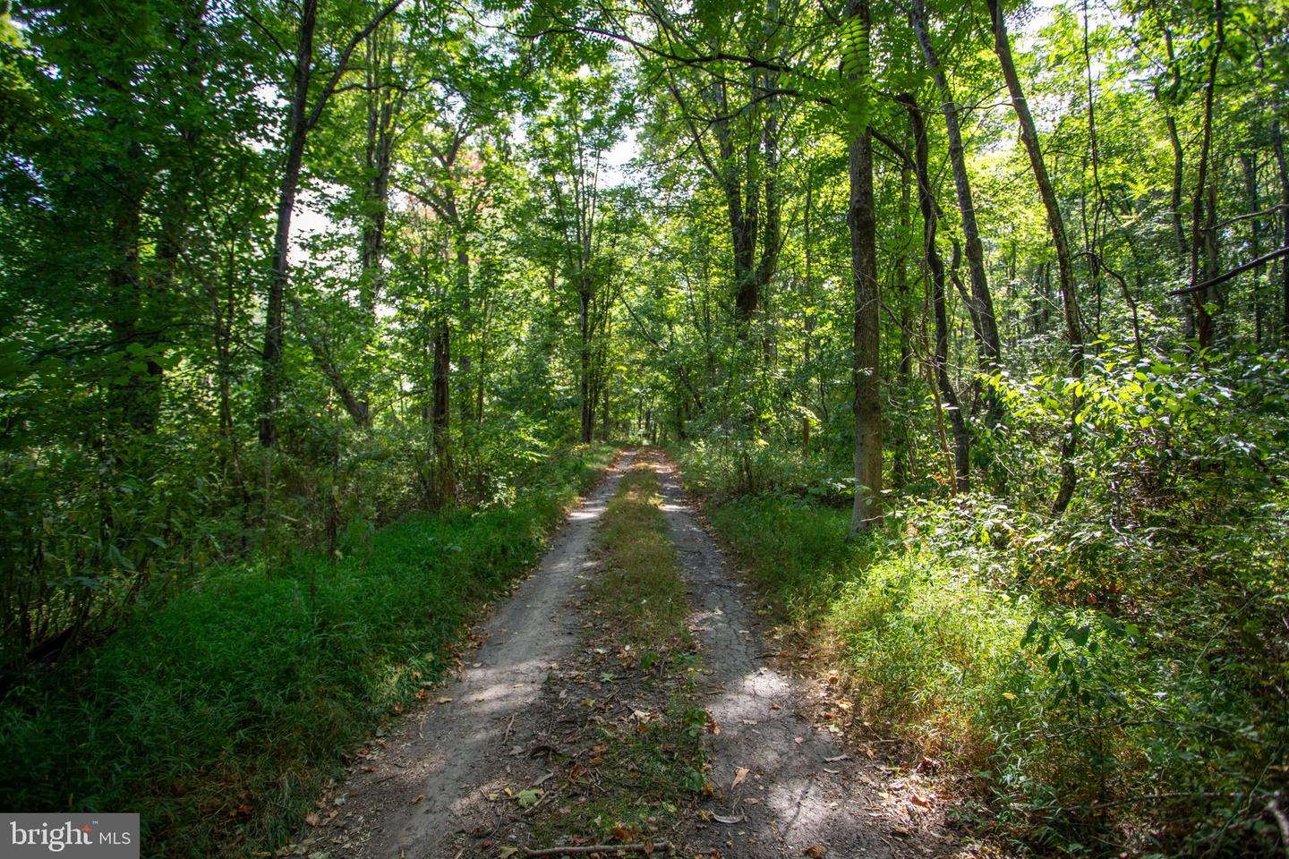 TBD JACKSON LANE, BOSTON, Virginia 22713, ,Land,For sale,TBD JACKSON LANE,VARP2001996 MLS # VARP2001996