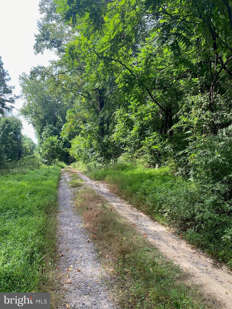 TBD JACKSON LANE, BOSTON, Virginia 22713, ,Land,For sale,TBD JACKSON LANE,VARP2001996 MLS # VARP2001996