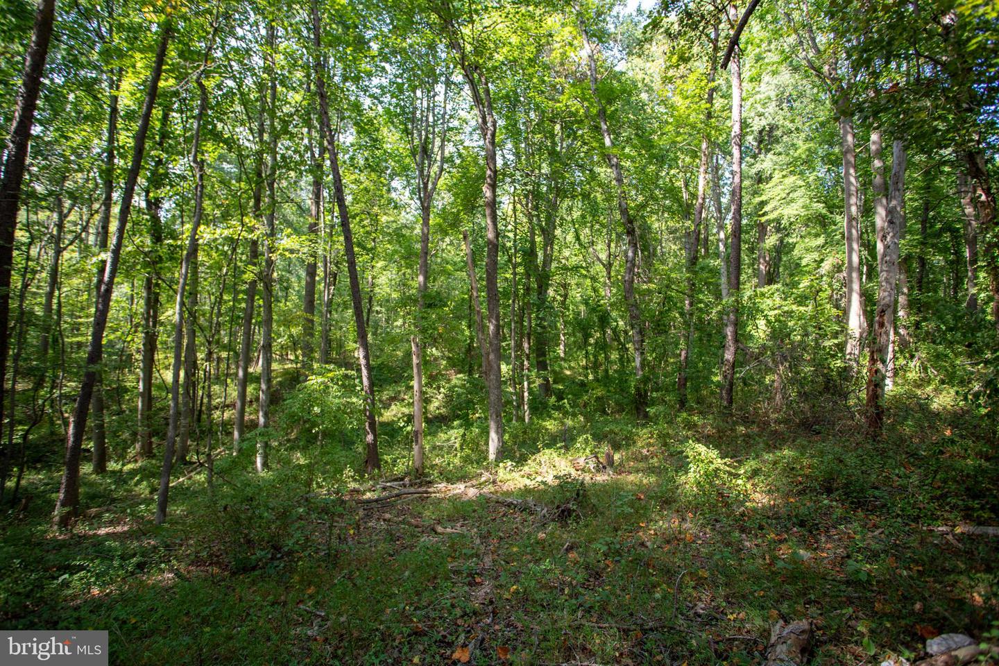 TBD JACKSON LANE, BOSTON, Virginia 22713, ,Land,For sale,TBD JACKSON LANE,VARP2001996 MLS # VARP2001996