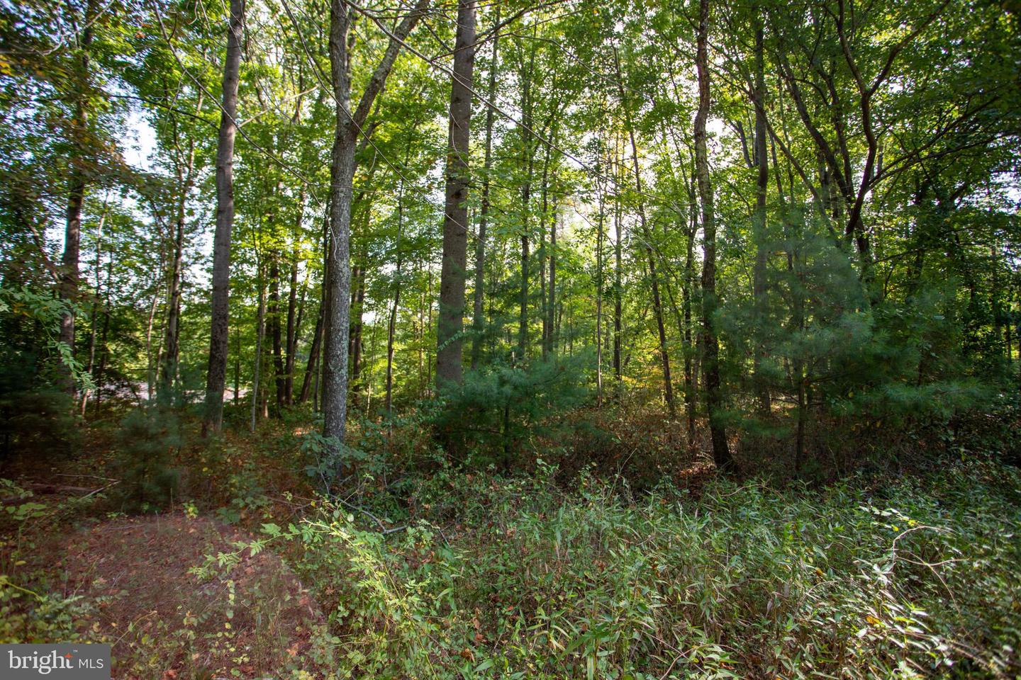 TBD JACKSON LANE, BOSTON, Virginia 22713, ,Land,For sale,TBD JACKSON LANE,VARP2001996 MLS # VARP2001996