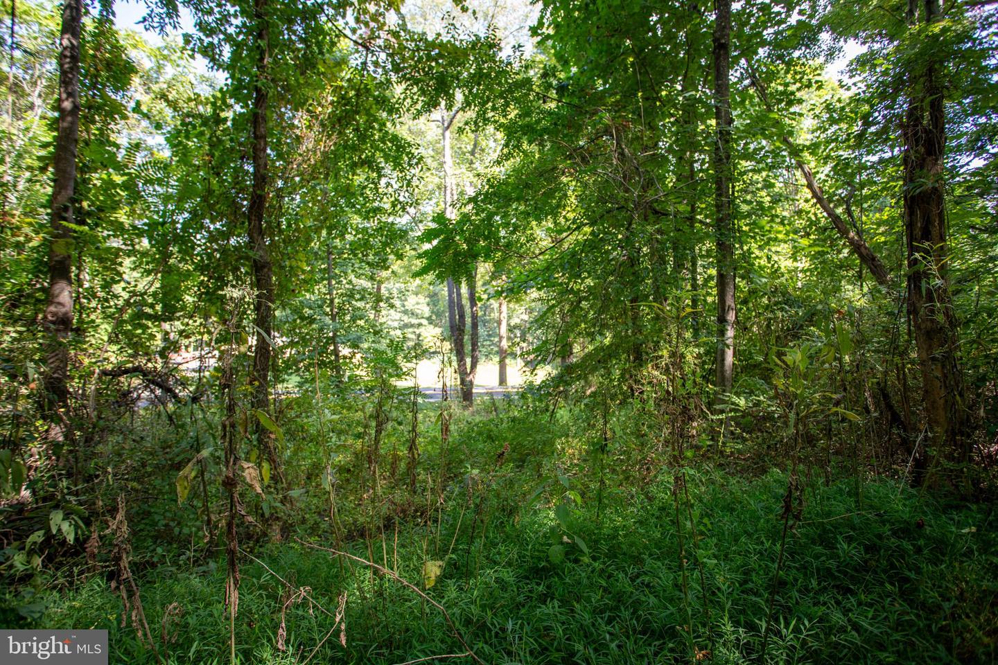 TBD JACKSON LANE, BOSTON, Virginia 22713, ,Land,For sale,TBD JACKSON LANE,VARP2001996 MLS # VARP2001996