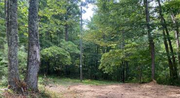 TBD JACKSON LANE, BOSTON, Virginia 22713, ,Land,For sale,TBD JACKSON LANE,VARP2001996 MLS # VARP2001996