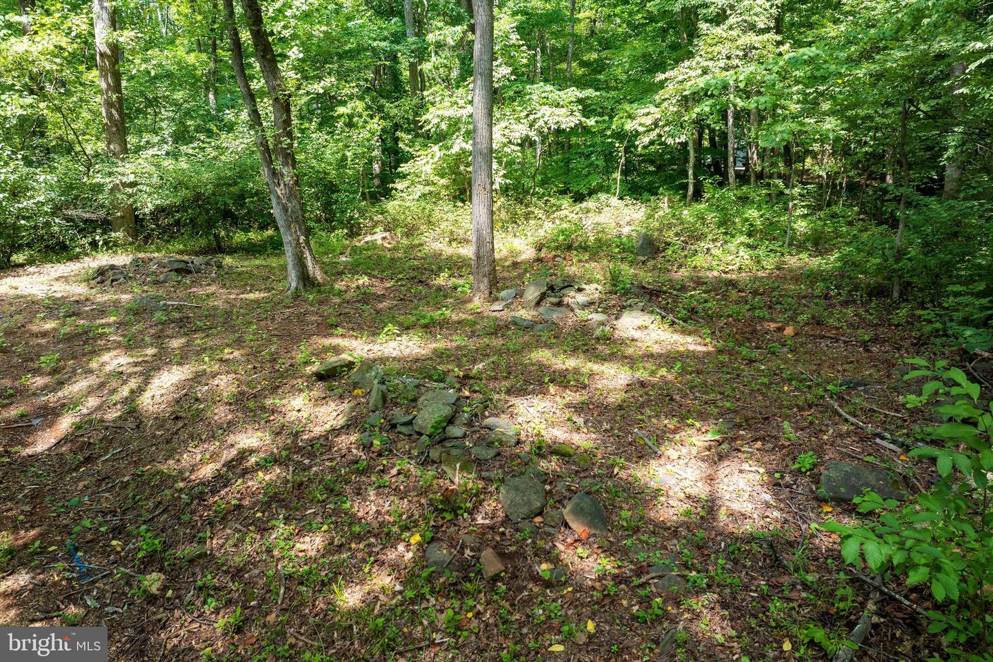 233 STONE CHIMNEYS RD RD, NELLYSFORD, Virginia 22958, ,Land,For sale,233 STONE CHIMNEYS RD RD,VANL2000520 MLS # VANL2000520