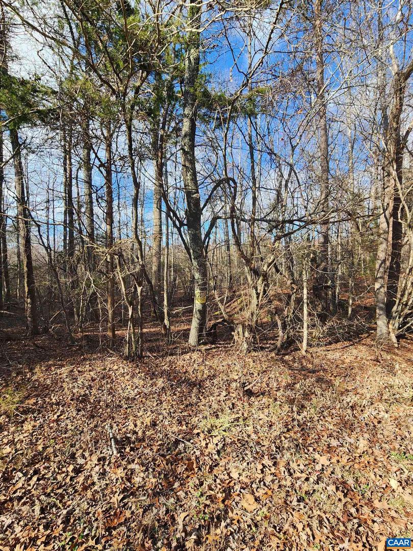 TBD UNION HILL RD, BUCKINGHAM, Virginia 23921, ,Land,For sale,TBD UNION HILL RD,637158 MLS # 637158