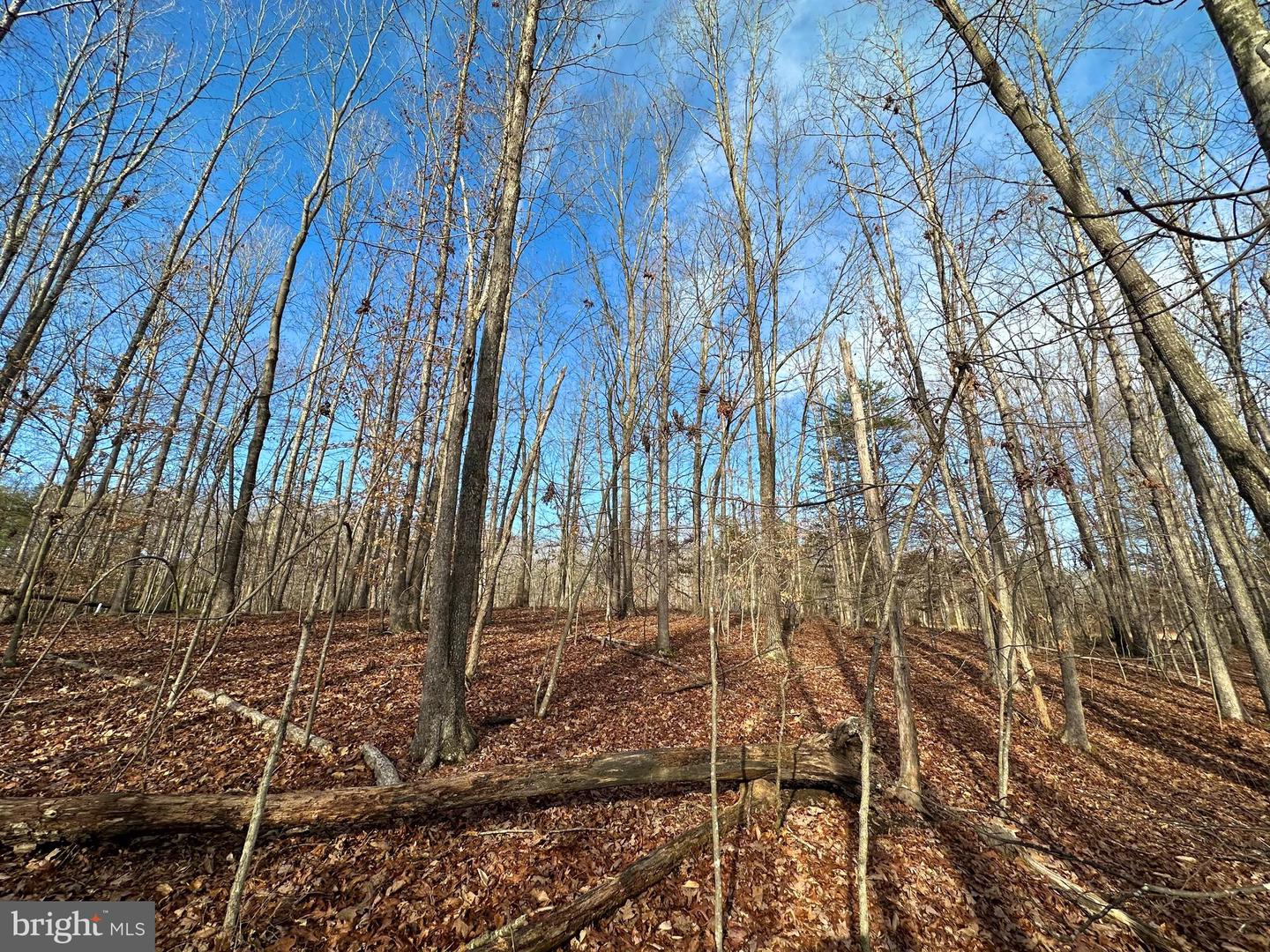 LOT 165 OAKMONT DR, GORDONSVILLE, Virginia 22942, ,Land,For sale,LOT 165 OAKMONT DR,VALA2005252 MLS # VALA2005252