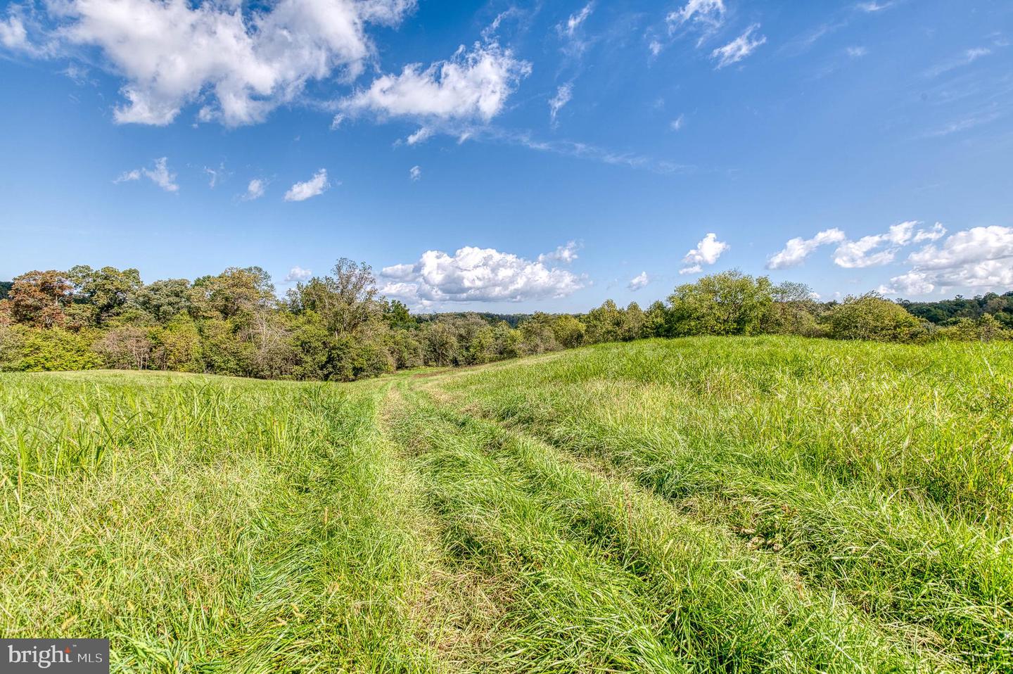 OAK PARK RD, LOCUST DALE, Virginia 22948, ,Land,For sale,OAK PARK RD,VAMA2001906 MLS # VAMA2001906