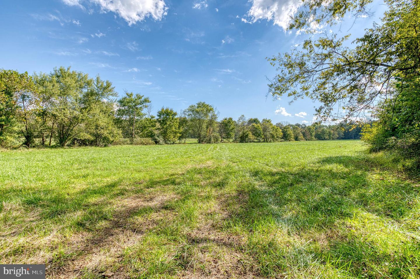 OAK PARK RD, LOCUST DALE, Virginia 22948, ,Land,For sale,OAK PARK RD,VAMA2001906 MLS # VAMA2001906