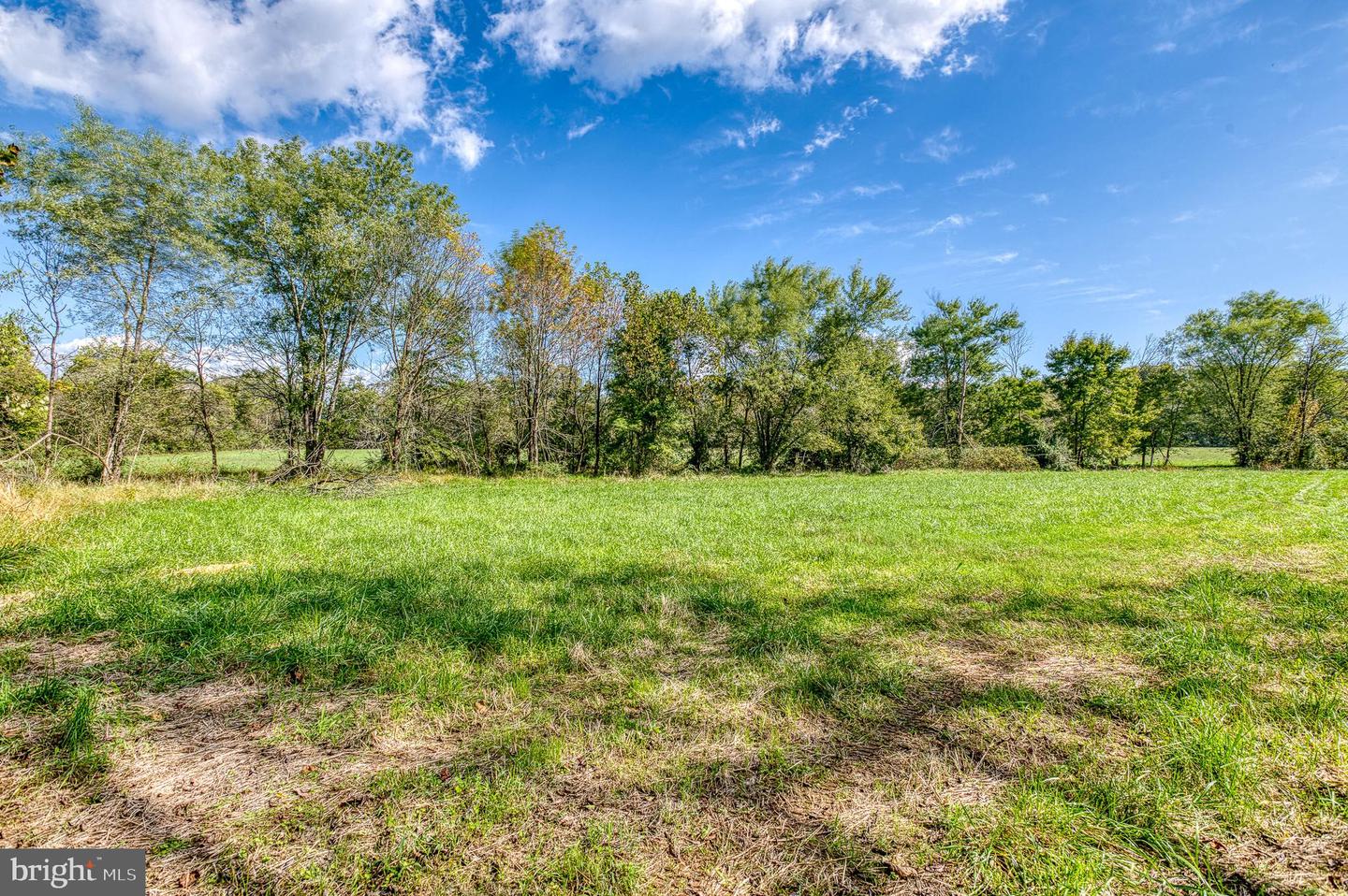 OAK PARK RD, LOCUST DALE, Virginia 22948, ,Land,For sale,OAK PARK RD,VAMA2001906 MLS # VAMA2001906