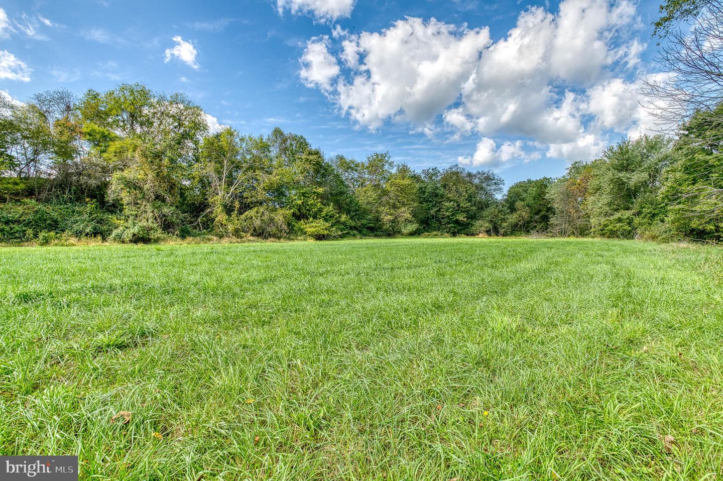 OAK PARK RD, LOCUST DALE, Virginia 22948, ,Land,For sale,OAK PARK RD,VAMA2001906 MLS # VAMA2001906