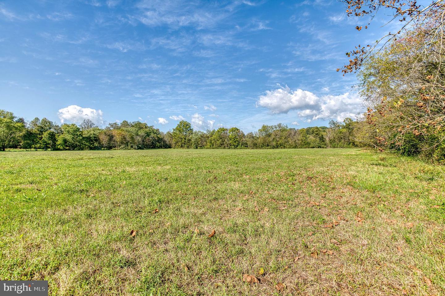 OAK PARK RD, LOCUST DALE, Virginia 22948, ,Land,For sale,OAK PARK RD,VAMA2001906 MLS # VAMA2001906