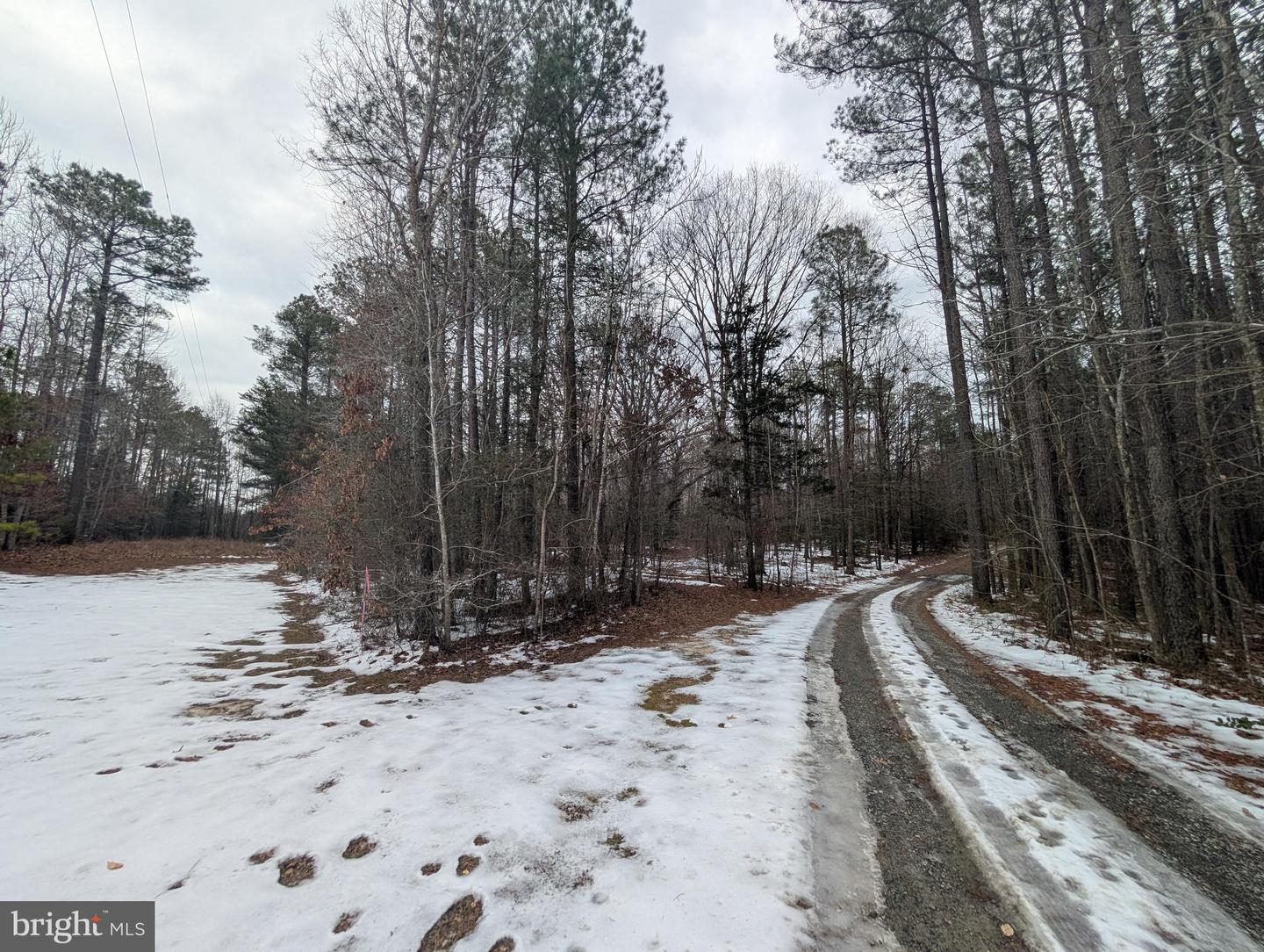 MATTAPONI TRAIL, MILFORD, Virginia 22514, ,Land,For sale,MATTAPONI TRAIL,VACV2007584 MLS # VACV2007584