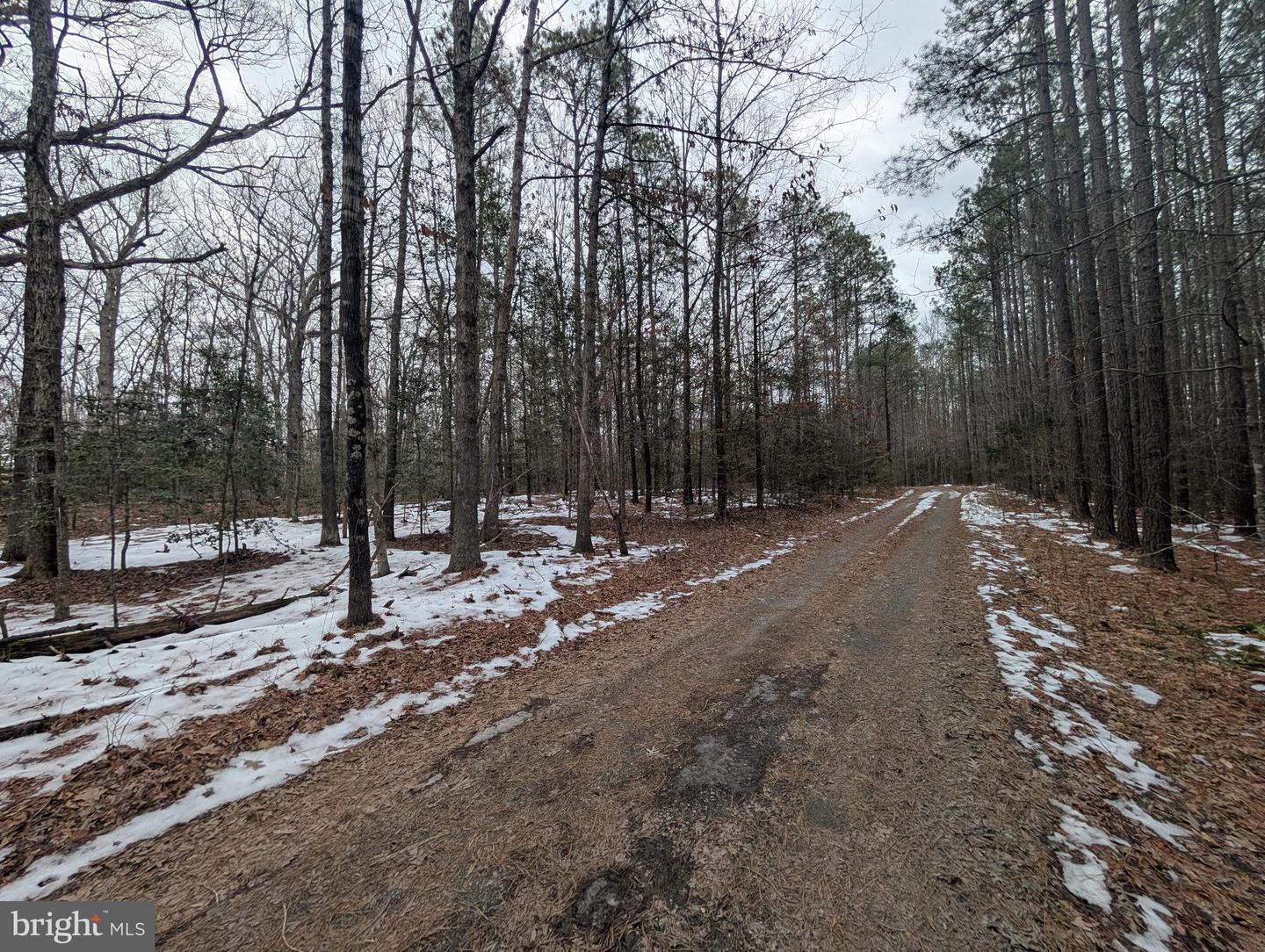 MATTAPONI TRAIL, MILFORD, Virginia 22514, ,Land,For sale,MATTAPONI TRAIL,VACV2007584 MLS # VACV2007584