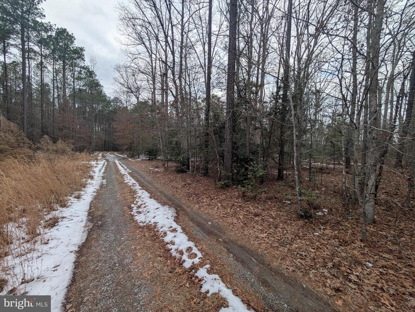 MATTAPONI TRAIL, MILFORD, Virginia 22514, ,Land,For sale,MATTAPONI TRAIL,VACV2007584 MLS # VACV2007584