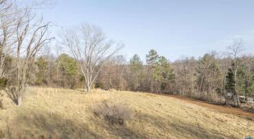 704 GRASSMERE RD, CHARLOTTESVILLE, Virginia 22903, ,Land,For sale,704 GRASSMERE RD,661744 MLS # 661744