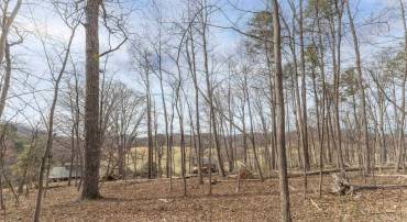 TBD WINSOME ORCHARD LN #D6, NORTH GARDEN, Virginia 22959, ,Land,For sale,TBD WINSOME ORCHARD LN #D6,661754 MLS # 661754