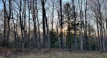 LOTS 98 & 99 MEMORY LANE, MONTROSS, Virginia 22520, ,Land,For sale,LOTS 98 & 99 MEMORY LANE,VAWE2008402 MLS # VAWE2008402