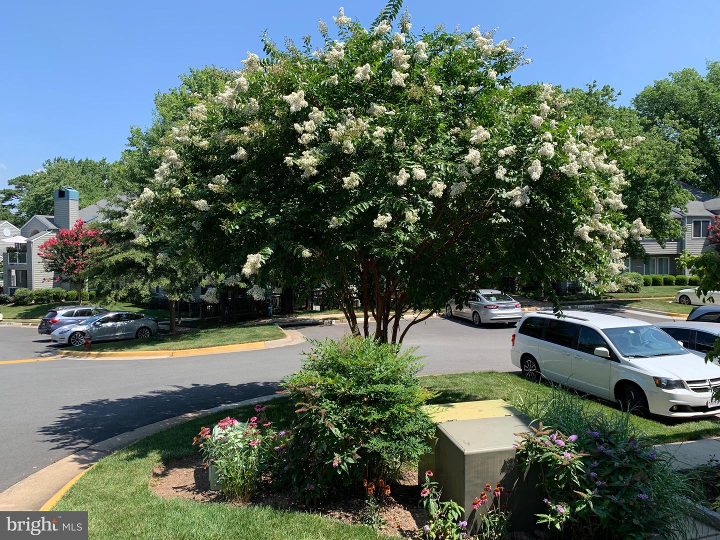 11743 SUMMERCHASE CIR #C, RESTON, Virginia 20194, 2 Bedrooms Bedrooms, 5 Rooms Rooms,2 BathroomsBathrooms,Residential,For sale,11743 SUMMERCHASE CIR #C,VAFX2225288 MLS # VAFX2225288