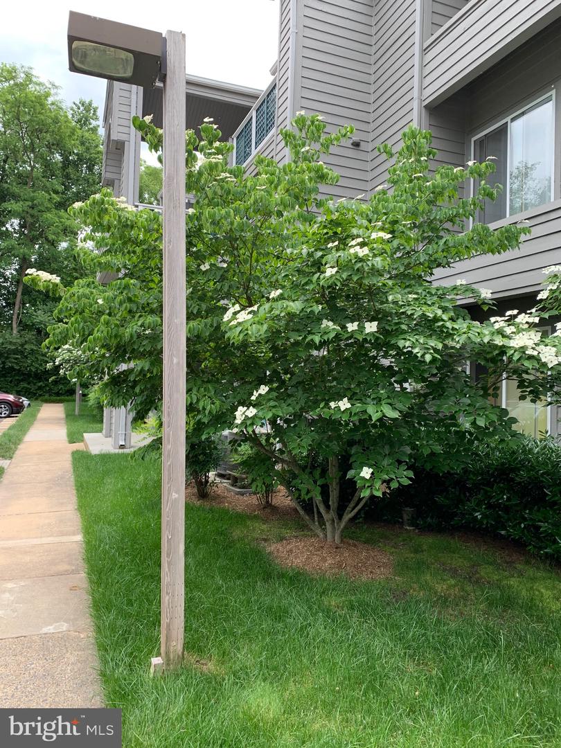 11743 SUMMERCHASE CIR #C, RESTON, Virginia 20194, 2 Bedrooms Bedrooms, 5 Rooms Rooms,2 BathroomsBathrooms,Residential,For sale,11743 SUMMERCHASE CIR #C,VAFX2225288 MLS # VAFX2225288