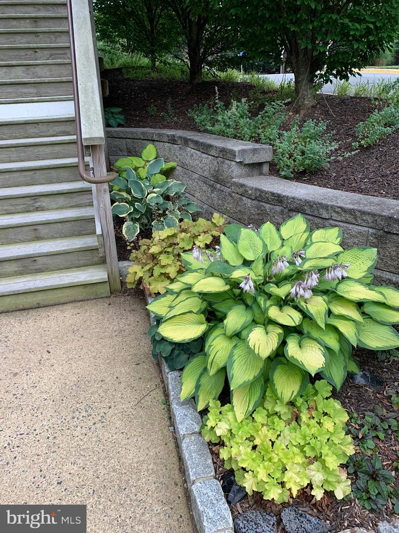 11743 SUMMERCHASE CIR #C, RESTON, Virginia 20194, 2 Bedrooms Bedrooms, 5 Rooms Rooms,2 BathroomsBathrooms,Residential,For sale,11743 SUMMERCHASE CIR #C,VAFX2225288 MLS # VAFX2225288