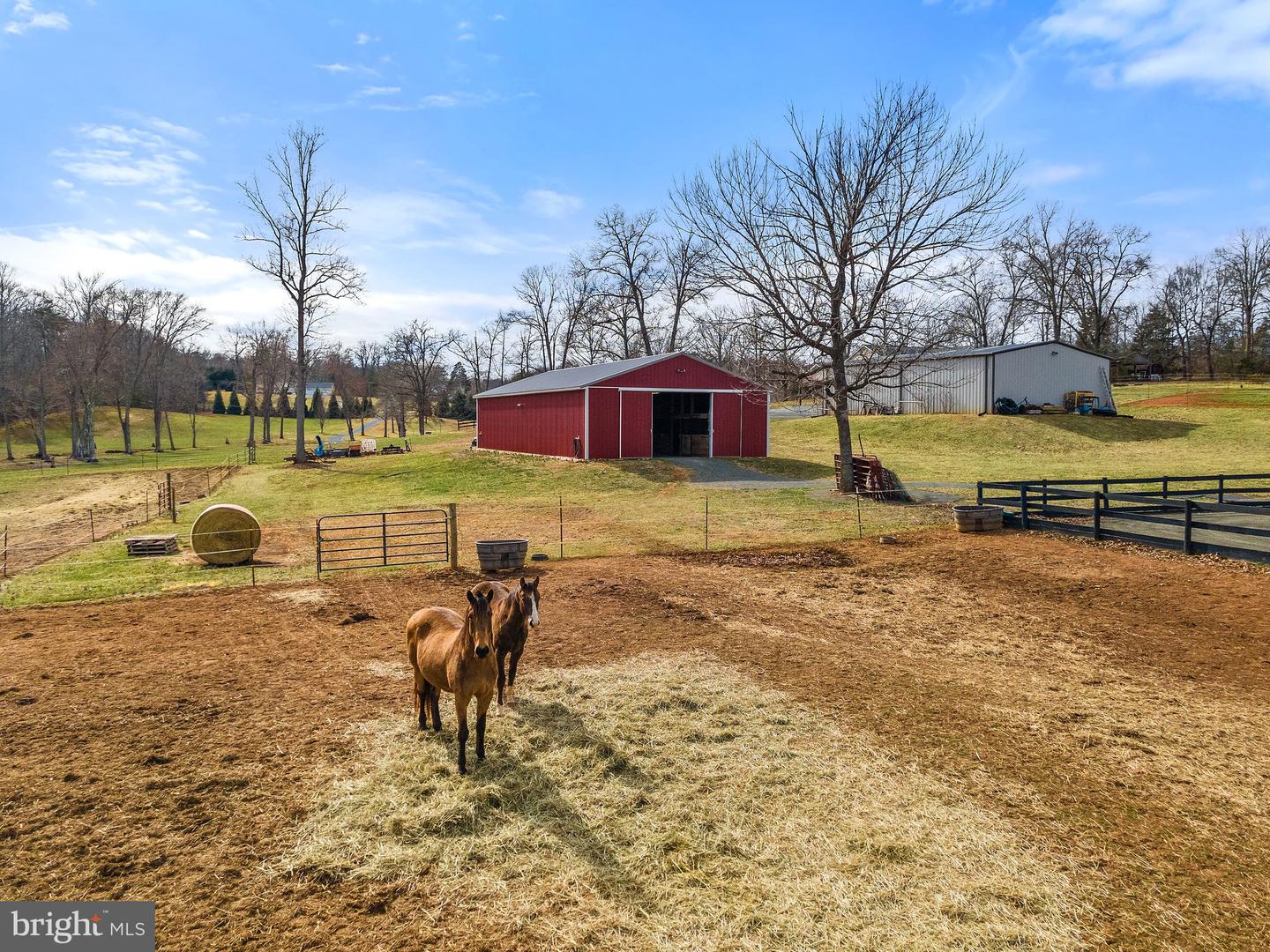 9107 GRASTY GOLD MINE RD, RHOADESVILLE, Virginia 22542, 4 Bedrooms Bedrooms, ,3 BathroomsBathrooms,Residential,For sale,9107 GRASTY GOLD MINE RD,VAOR2009018 MLS # VAOR2009018