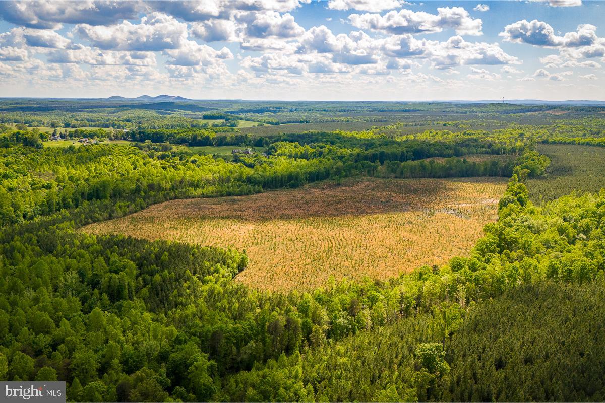 160.99 ACRES GRAVEL HILL RD, DILLWYN, Virginia 23936, ,Farm,For sale,160.99 ACRES GRAVEL HILL RD,VABH2000168 MLS # VABH2000168