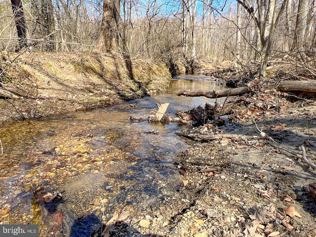 160.99 ACRES GRAVEL HILL RD, DILLWYN, Virginia 23936, ,Farm,For sale,160.99 ACRES GRAVEL HILL RD,VABH2000168 MLS # VABH2000168