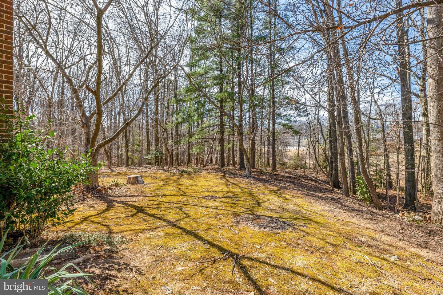 7820 ANTIOPI ST, ANNANDALE, Virginia 22003, 5 Bedrooms Bedrooms, ,3 BathroomsBathrooms,Residential,For sale,7820 ANTIOPI ST,VAFX2223820 MLS # VAFX2223820