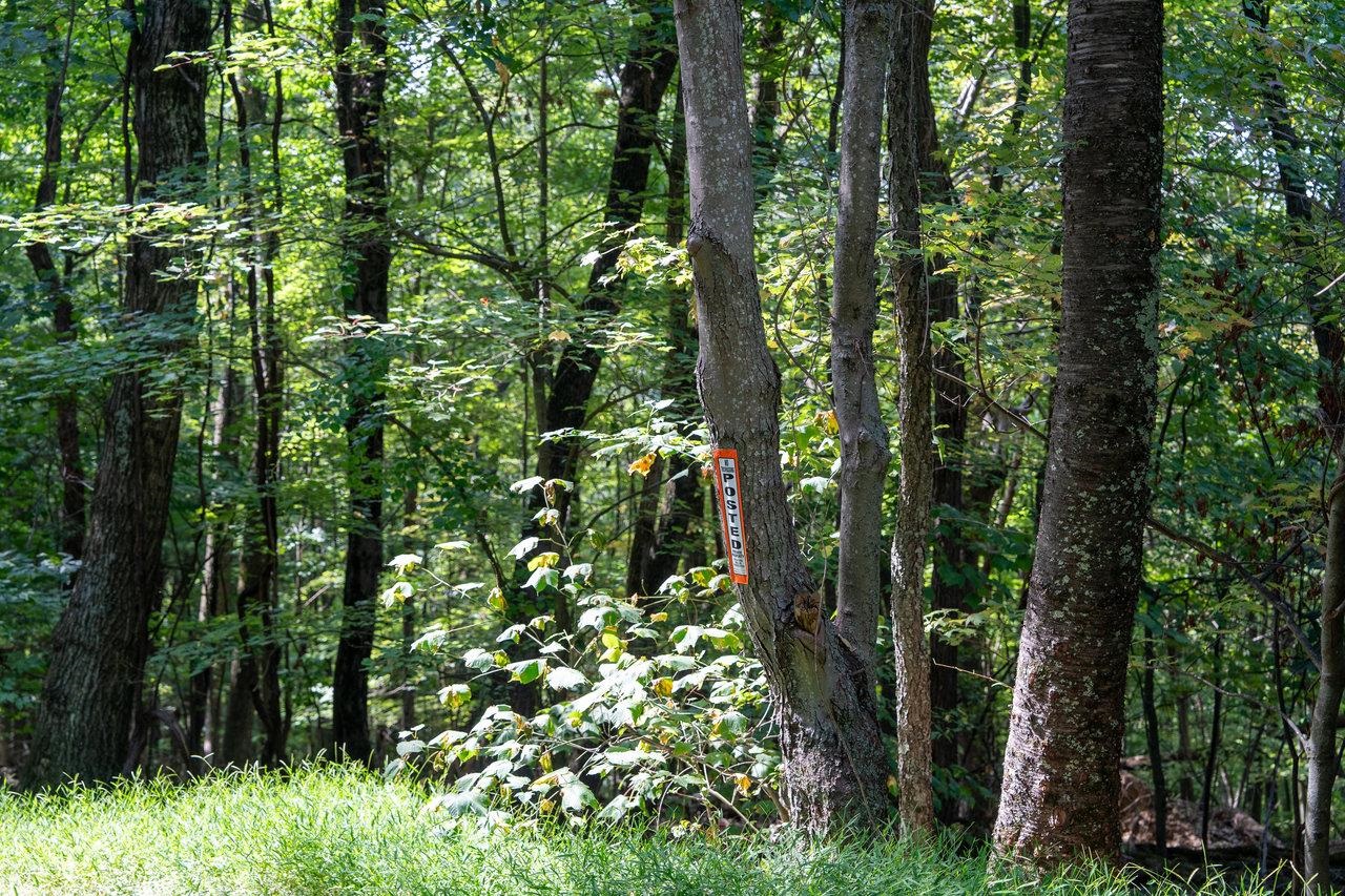 Lot 1 PRICE RIDGE RD, STANLEY, Virginia 22851, ,Land,Lot 1 PRICE RIDGE RD,661498 MLS # 661498