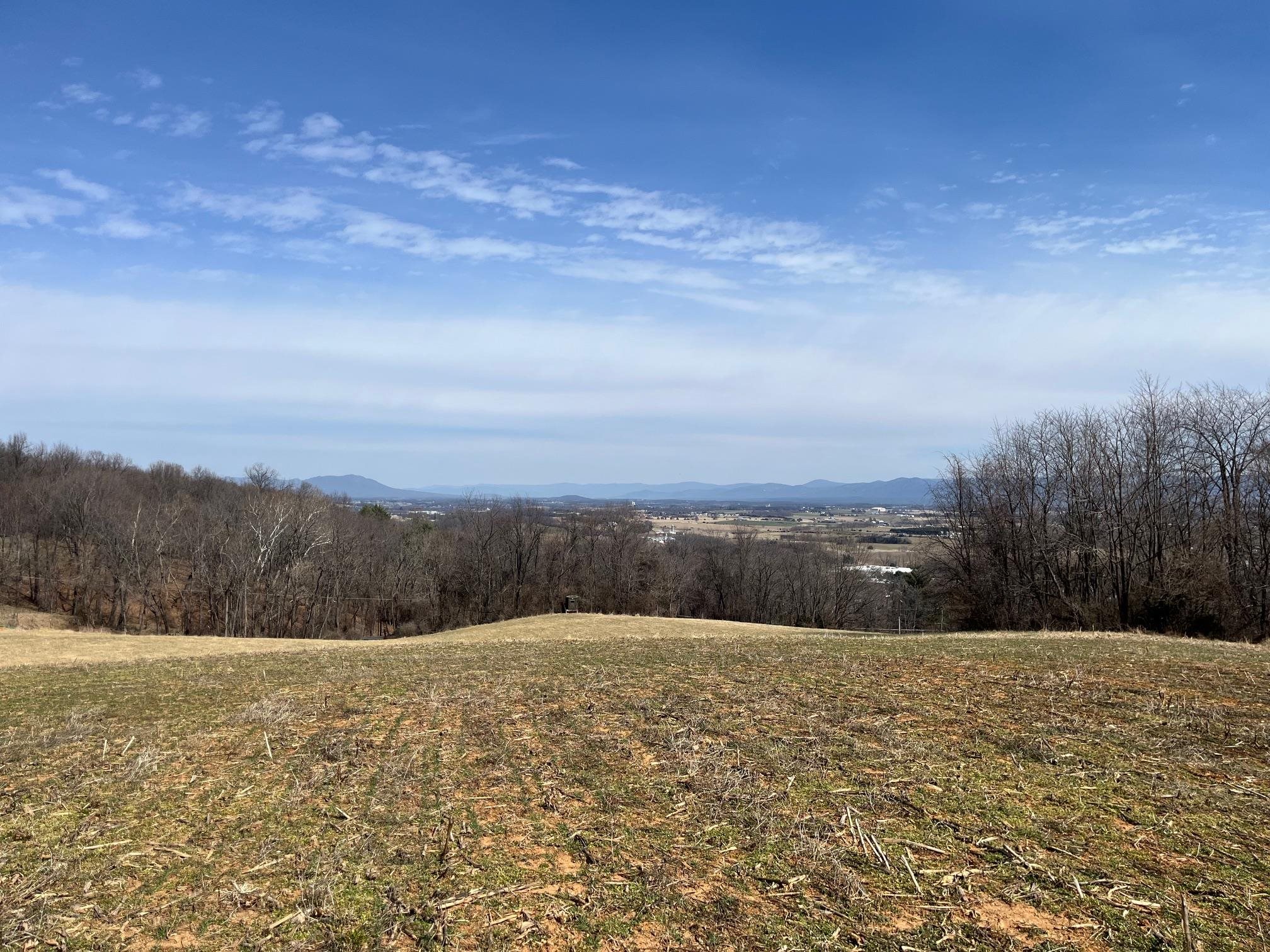 TBD SEAWRIGHT SPRINGS RD, MOUNT SIDNEY, Virginia 24467, ,Land,TBD SEAWRIGHT SPRINGS RD,661877 MLS # 661877