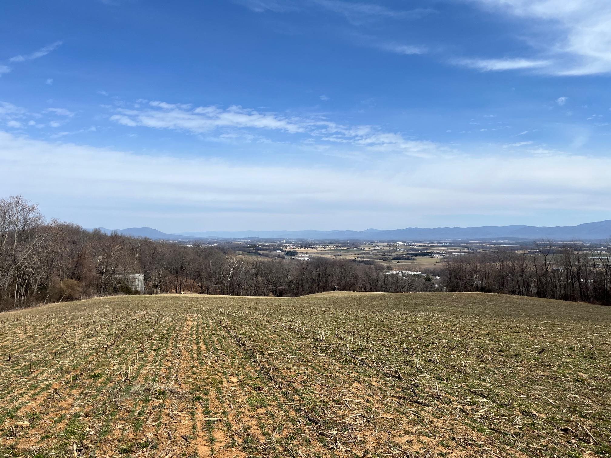 TBD SEAWRIGHT SPRINGS RD, MOUNT SIDNEY, Virginia 24467, ,Land,TBD SEAWRIGHT SPRINGS RD,661877 MLS # 661877