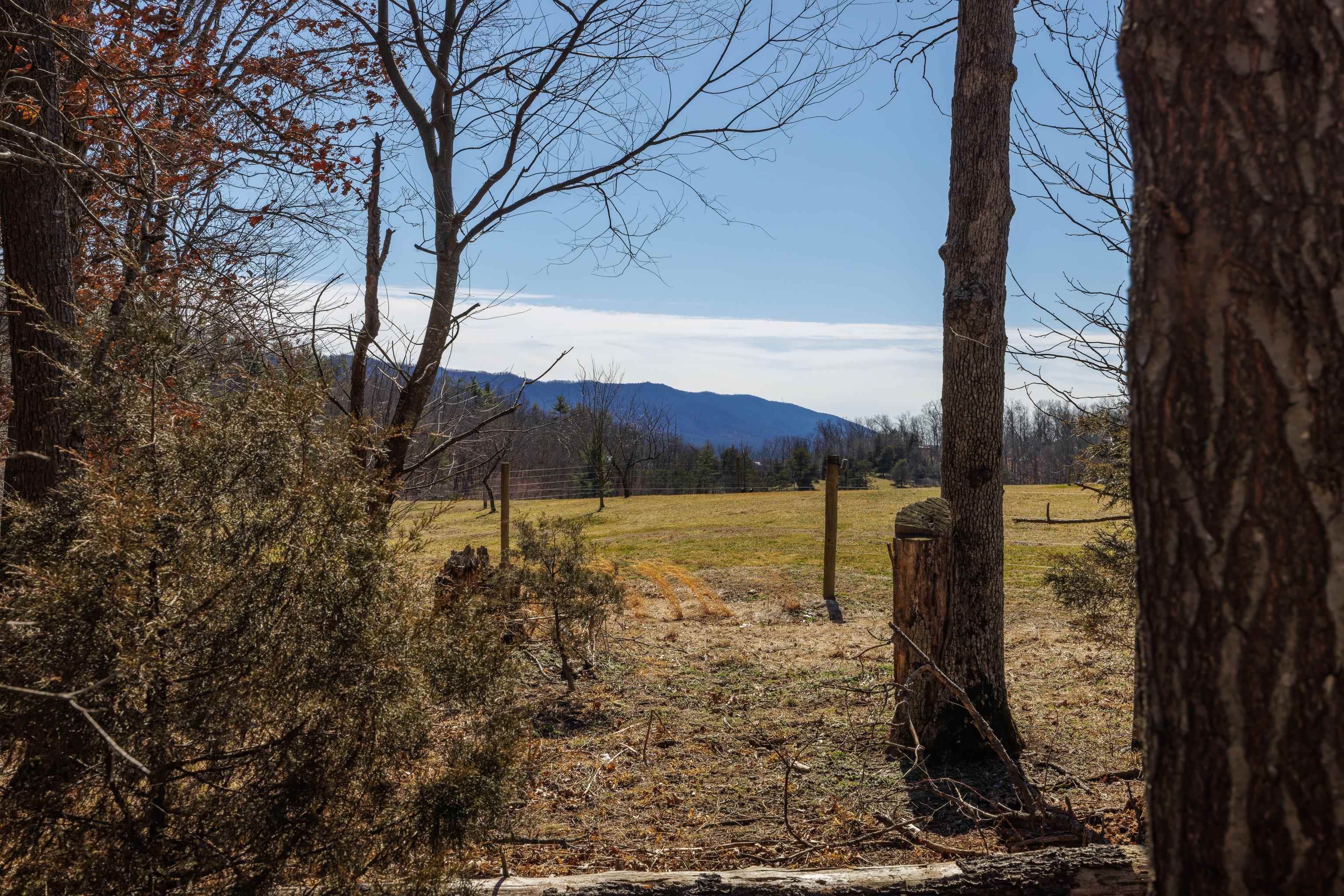 TBD HOLLOW RD, FULKS RUN, Virginia 22830, ,Land,TBD HOLLOW RD,661882 MLS # 661882