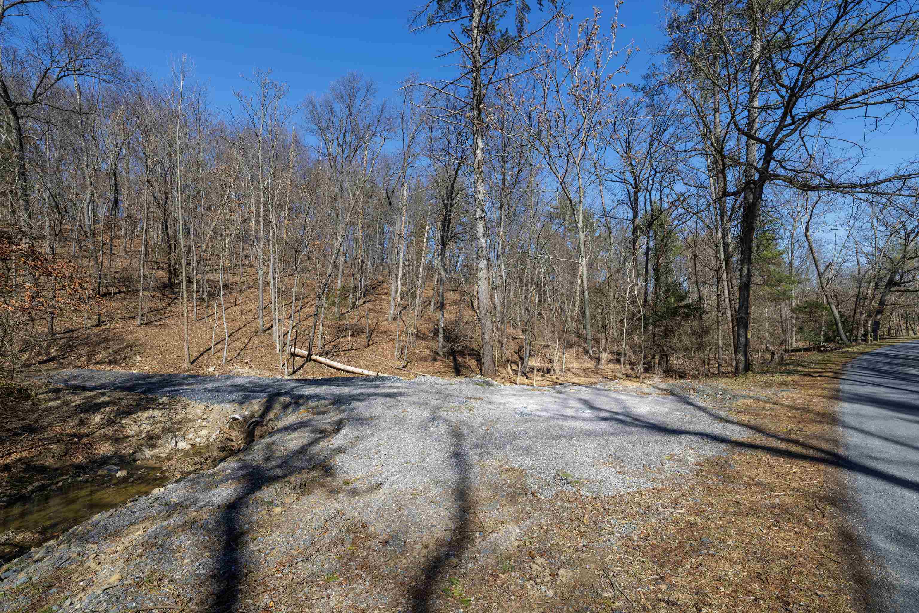 TBD HOLLOW RD, FULKS RUN, Virginia 22830, ,Land,TBD HOLLOW RD,661882 MLS # 661882