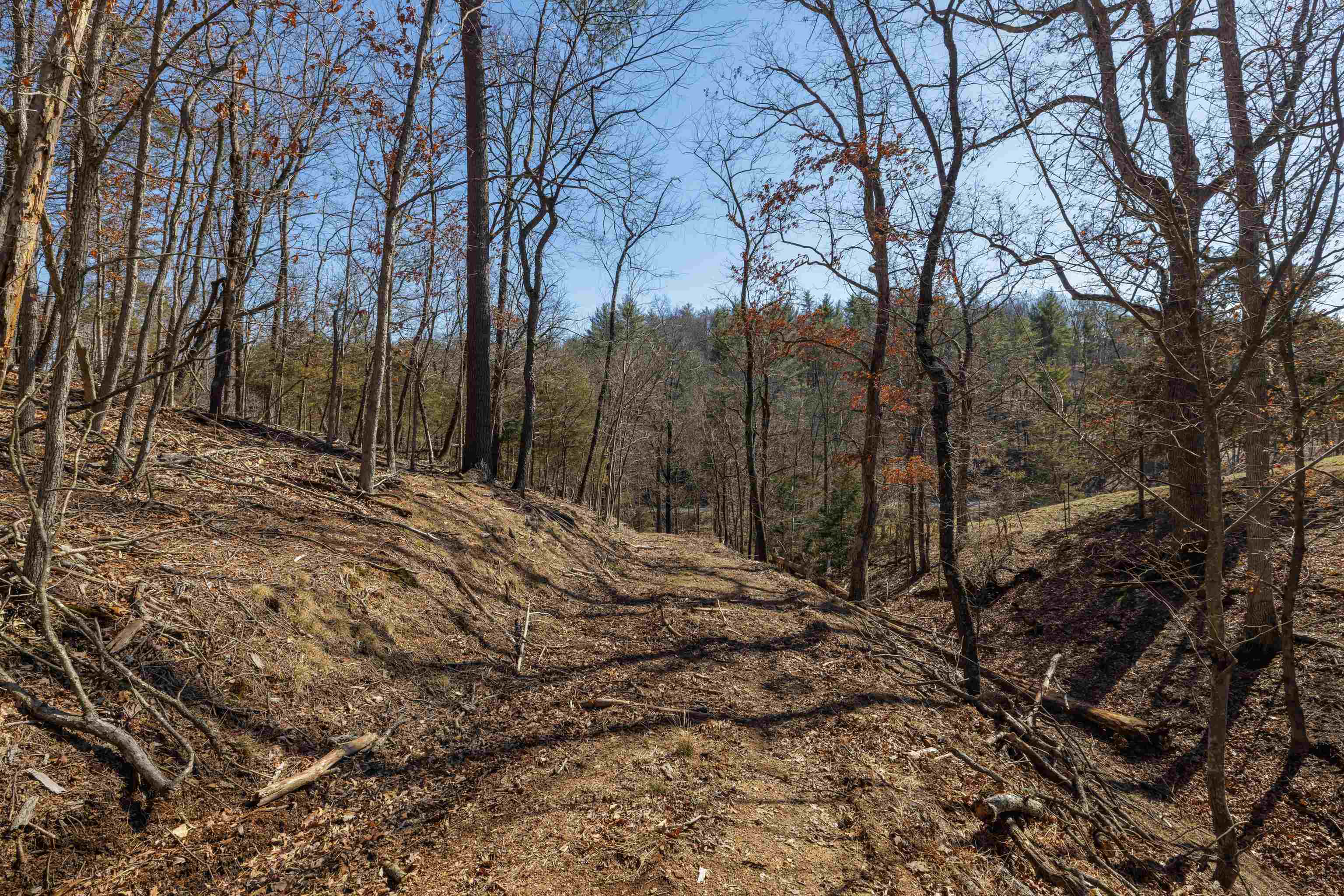 TBD HOLLOW RD, FULKS RUN, Virginia 22830, ,Land,TBD HOLLOW RD,661882 MLS # 661882