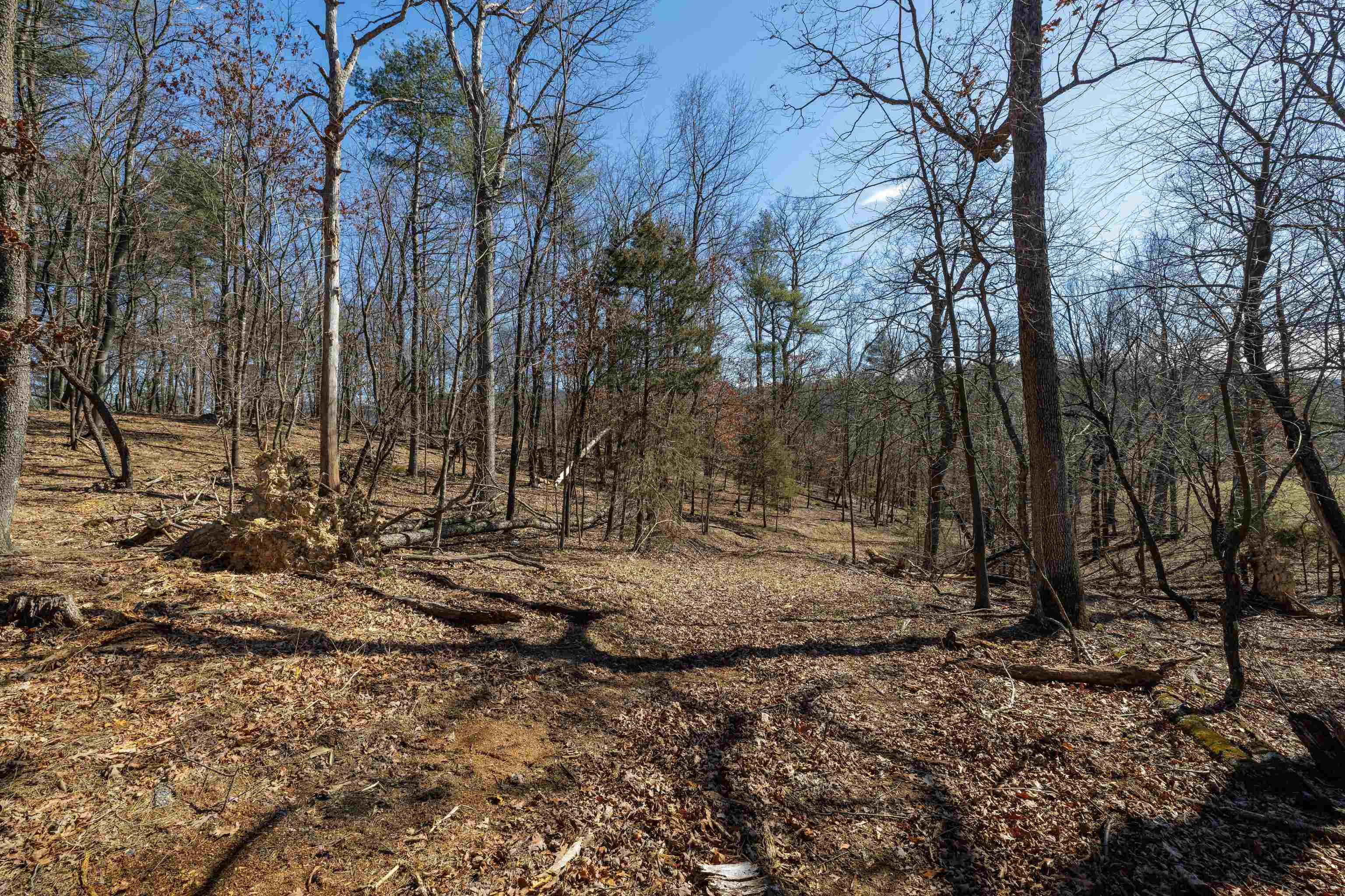 TBD HOLLOW RD, FULKS RUN, Virginia 22830, ,Land,TBD HOLLOW RD,661882 MLS # 661882