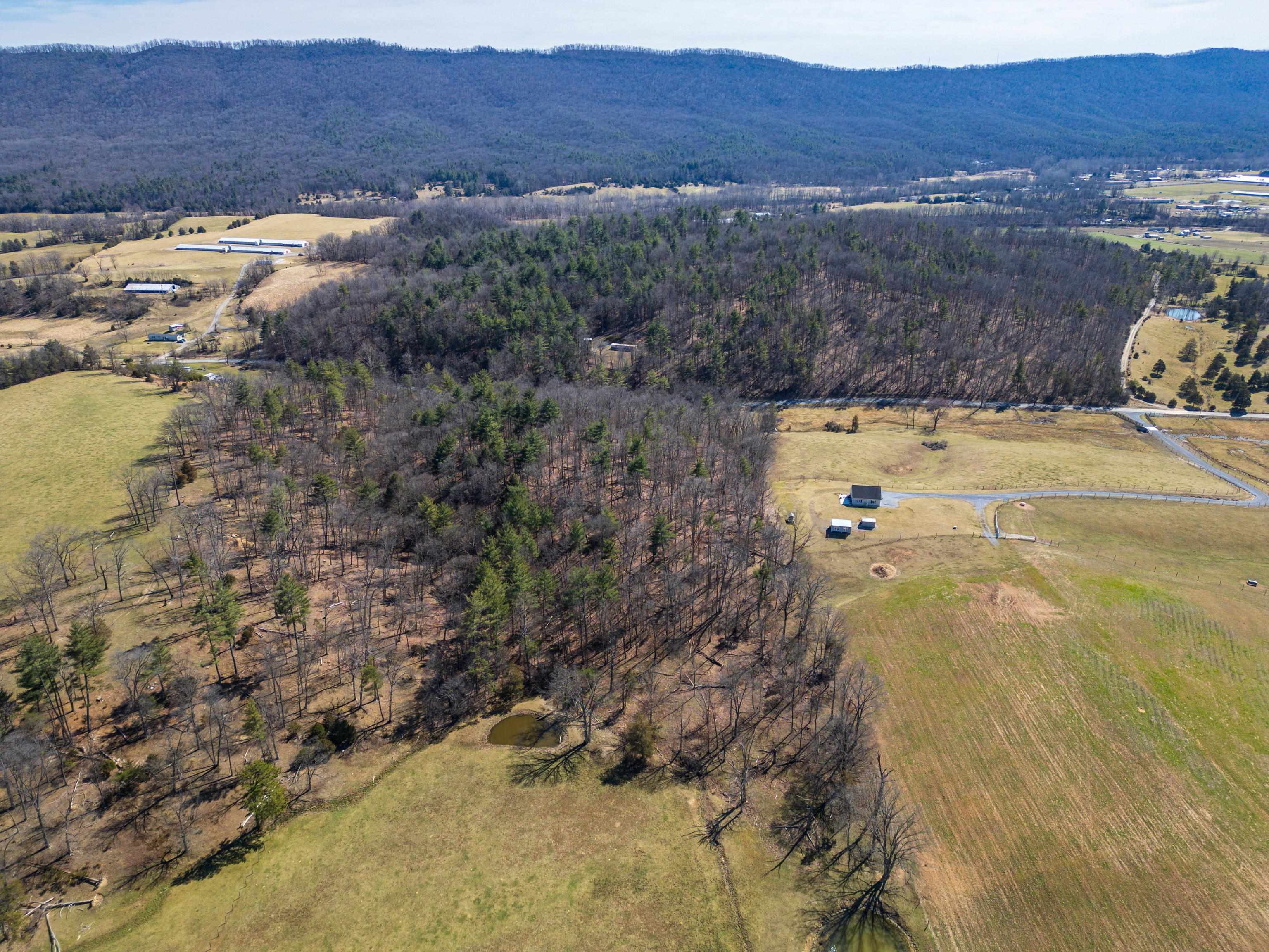 TBD HOLLOW RD, FULKS RUN, Virginia 22830, ,Land,TBD HOLLOW RD,661882 MLS # 661882