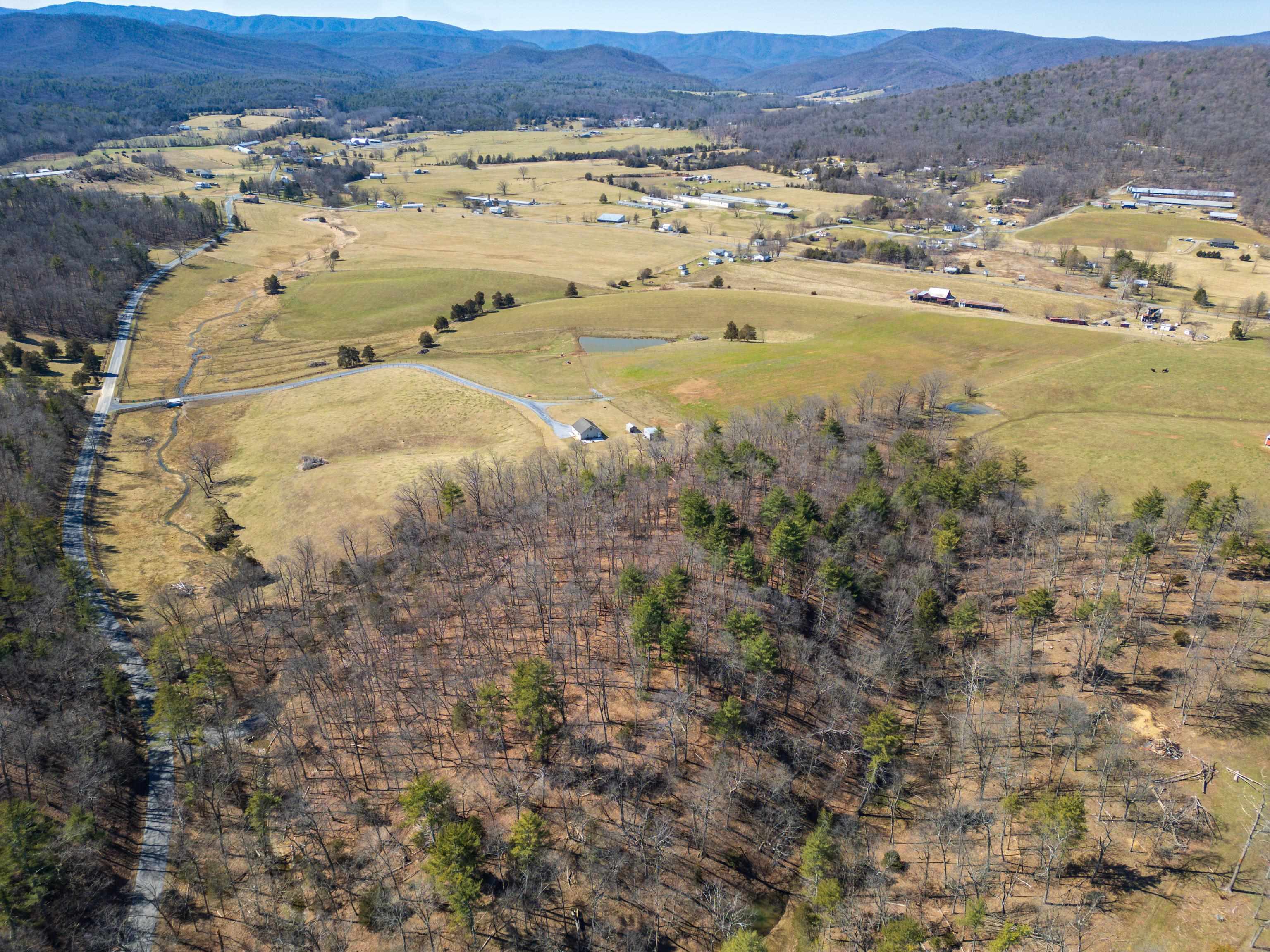 TBD HOLLOW RD, FULKS RUN, Virginia 22830, ,Land,TBD HOLLOW RD,661882 MLS # 661882