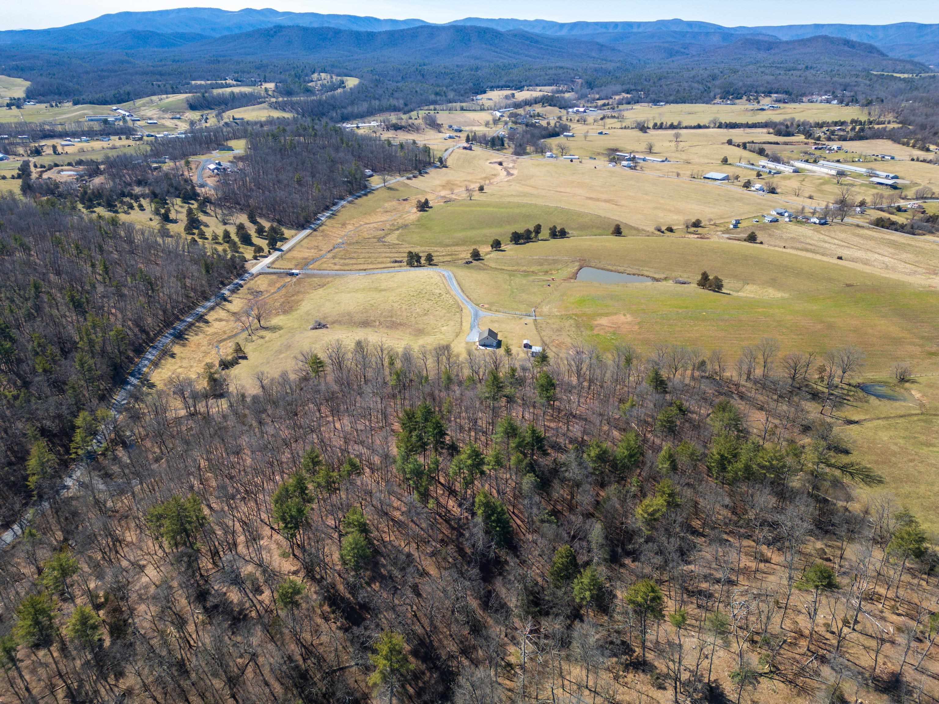 TBD HOLLOW RD, FULKS RUN, Virginia 22830, ,Land,TBD HOLLOW RD,661882 MLS # 661882