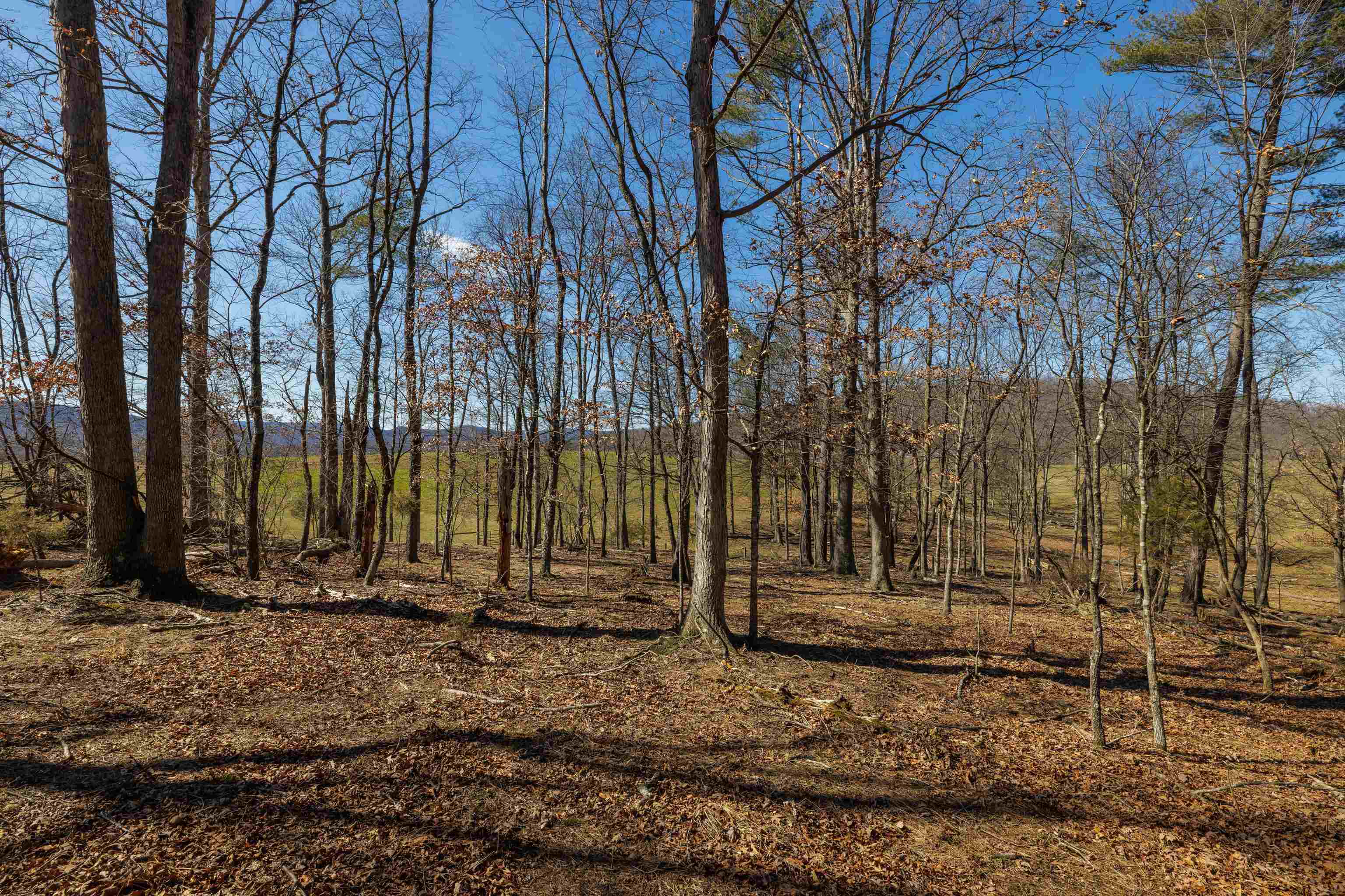 TBD HOLLOW RD, FULKS RUN, Virginia 22830, ,Land,TBD HOLLOW RD,661882 MLS # 661882