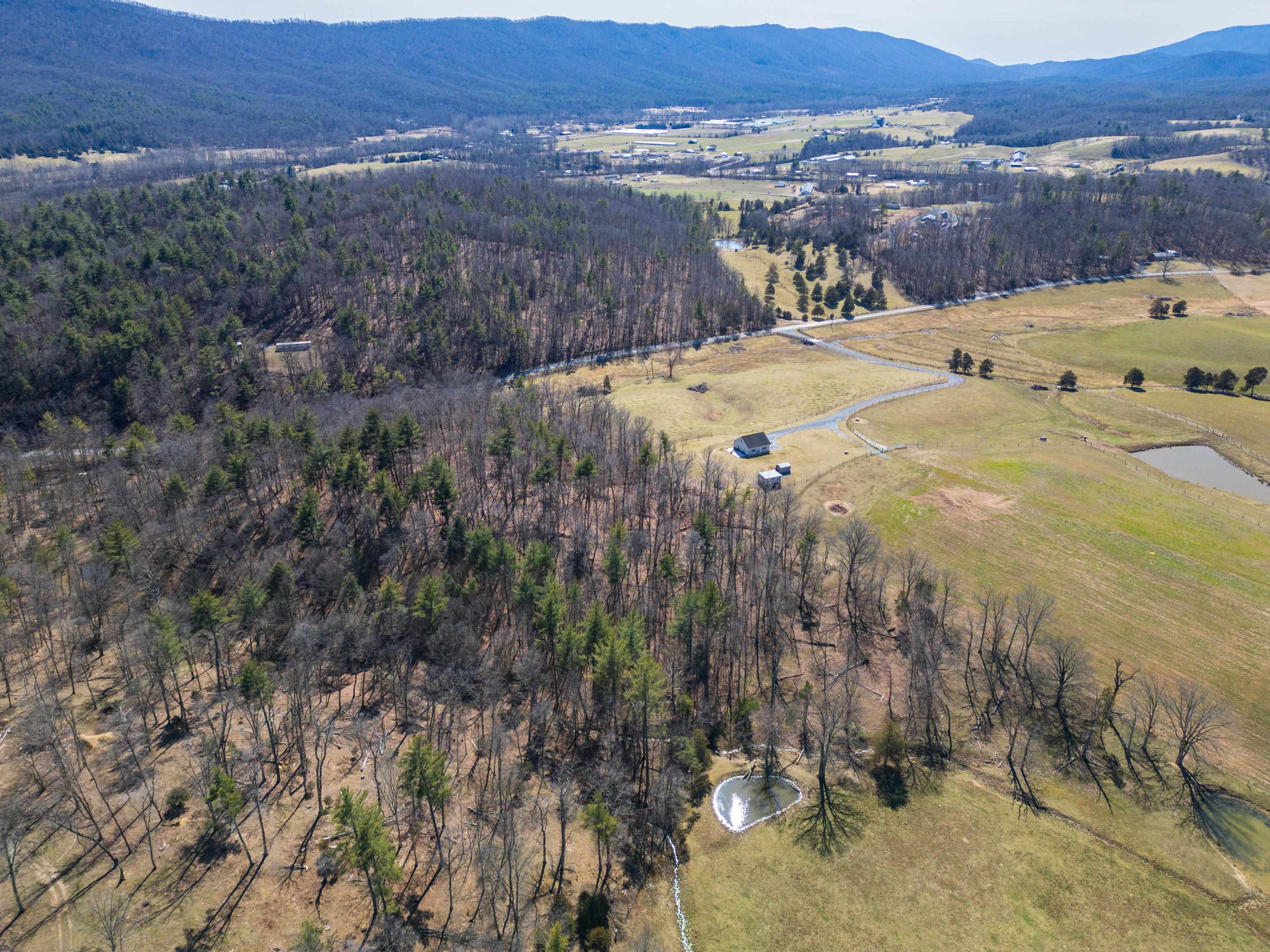 TBD HOLLOW RD, FULKS RUN, Virginia 22830, ,Land,TBD HOLLOW RD,661882 MLS # 661882