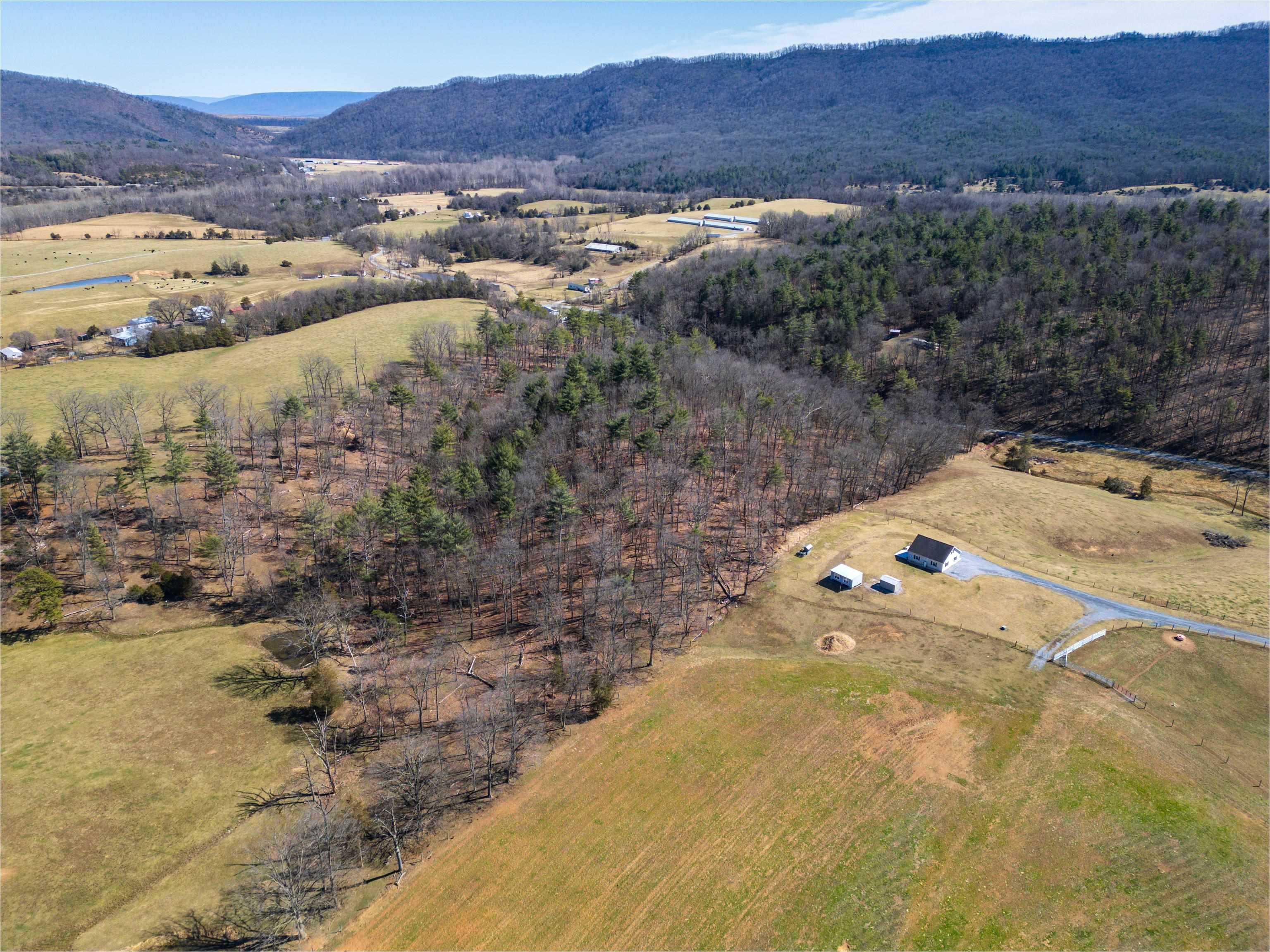 TBD HOLLOW RD, FULKS RUN, Virginia 22830, ,Land,TBD HOLLOW RD,661882 MLS # 661882